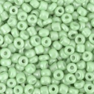 Seed beads 8/0 (3mm) Spring bud green